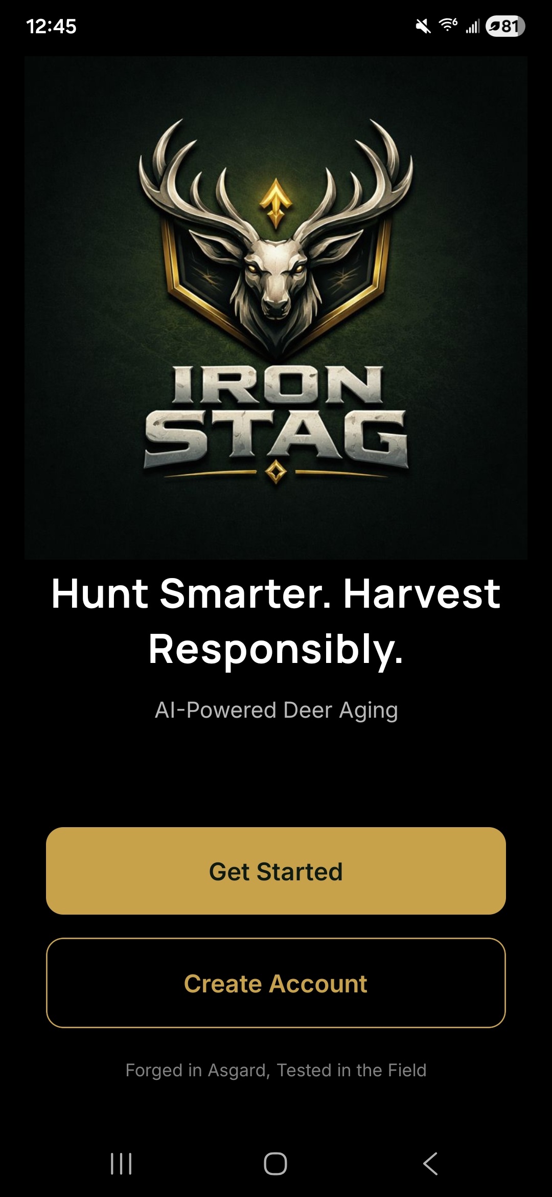 Iron Stag app splash screen